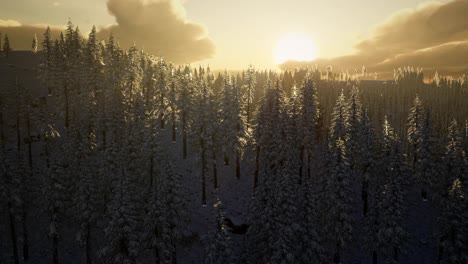 Fantastic-Evening-Winter-Landscape